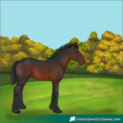 Horse Color:Brown 