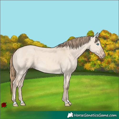 Horse Color:Perlino Dun 