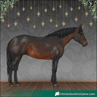 Horse Color:Brown 