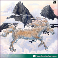 Horse Color:Gray Gold Champagne 