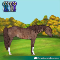 Horse Color:Chocolate Brown Dun Brindle