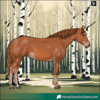 Horse Color:Chestnut 