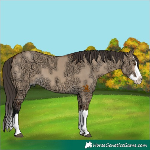 Horse Color:Bay Ice Dun Splash 