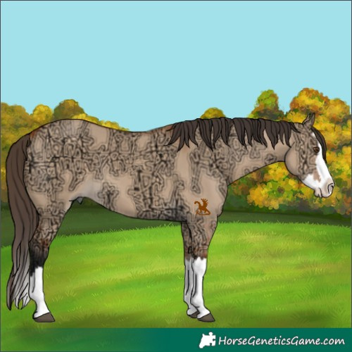 Horse Color:Bay Ice Dun Splash 