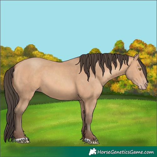 Horse Color:Amber Champagne 