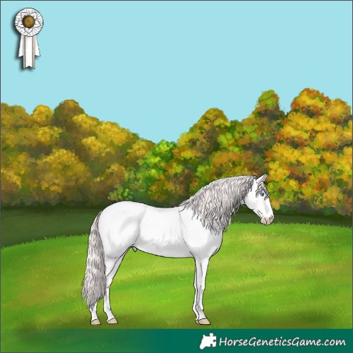 Horse Color:Perlino Roan Dun 