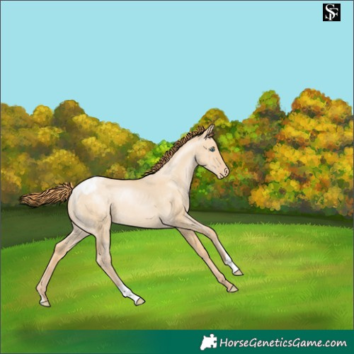 Horse Color:Smoky Grullo Pearl Varnish 