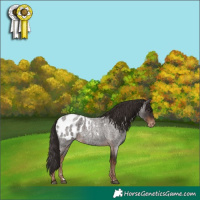Horse Color:Liver Red Roan Blanket 