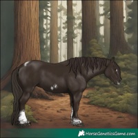 Horse Color:Liver Chestnut Tobiano Frame 