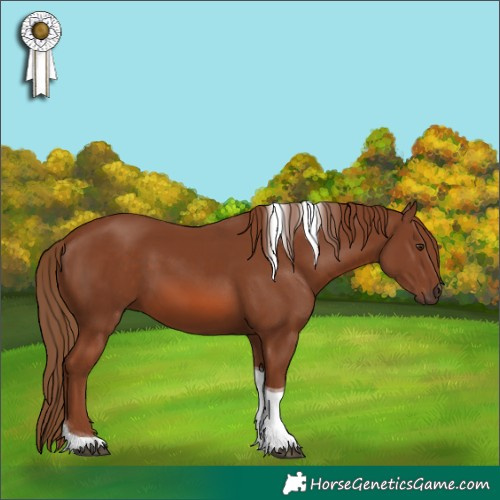 Horse Color:Chestnut Tobiano 