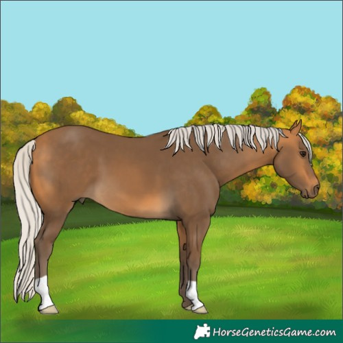 Horse Color:Silver Buckskin 