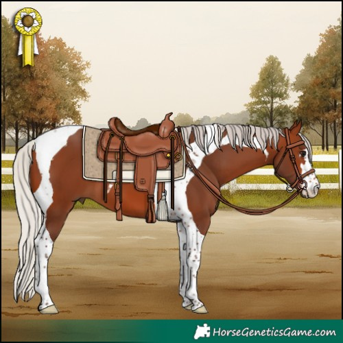 Horse Color:Silver Brown Tobiano 