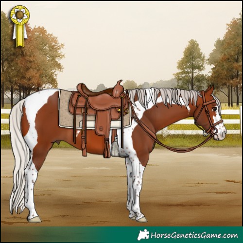 Horse Color:Silver Brown Tobiano 