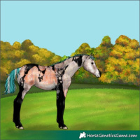Horse Color:Void Painted Plaid  Silver Blue Onyx Ice Tobiano 
