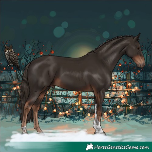 Horse Color:Liver Chestnut Tobiano