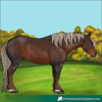 Horse Color:Liver Chestnut 