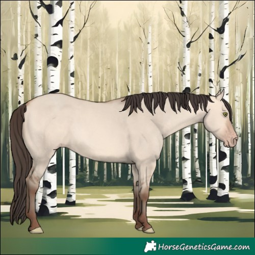 Horse Color:Amber Champagne Dun 