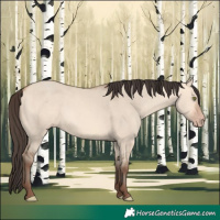 Horse Color:Amber Champagne Dun 