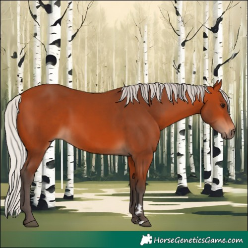 Horse Color:Silver Bay 