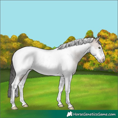 Horse Color:Brown Dun Tobiano Frame Rabicano Brindle 