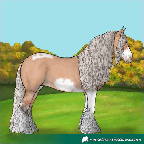 Horse Color:Silver Bay Dun Sabino Tobiano Frame Rabicano 