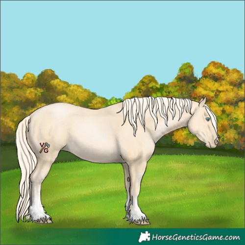 Horse Color:Palomino Pearl Sabino