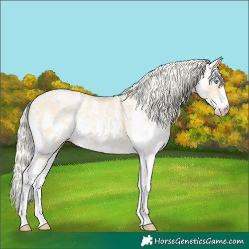 Horse Color:Palomino Pearl Sabino