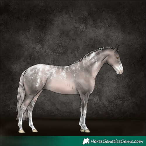Horse Color:Powder White Platinum Liver Chestnut Pearl 