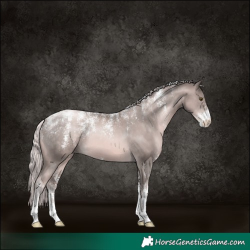 Horse Color:Powder White Platinum Liver Chestnut Pearl 