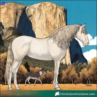 Horse Color:Smoky Black Pearl Sabino