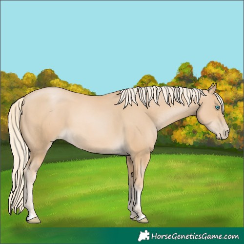 Horse Color:Palomino Pearl 