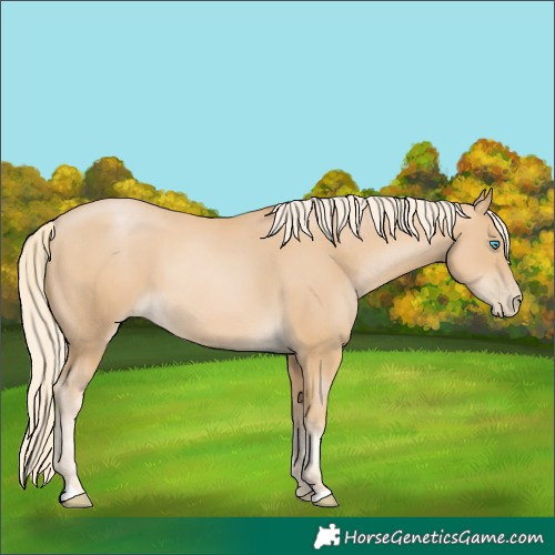 Horse Color:Palomino Pearl 