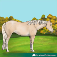 Horse Color:Palomino Pearl
