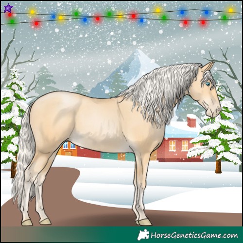 Horse Color:Silver Buckskin Pearl 