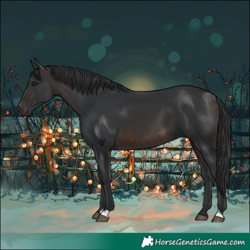 Horse Color:Brown 
