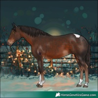 Horse Color:Liver Chestnut Tobiano 