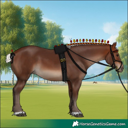 Horse Color:Silver Brown 