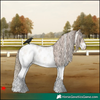 Horse Color:White Spotted Red Dun Roan Blanket