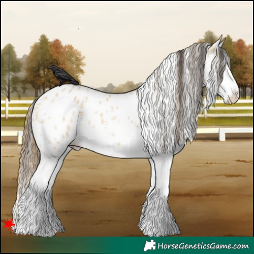 Horse Color:Buckskin Dun Sabino Splash Leopard 