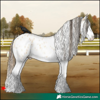 Horse Color:Buckskin Dun Sabino Splash Leopard 