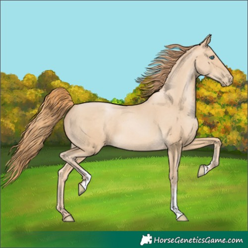 Horse Color:Buckskin Pearl Sabino