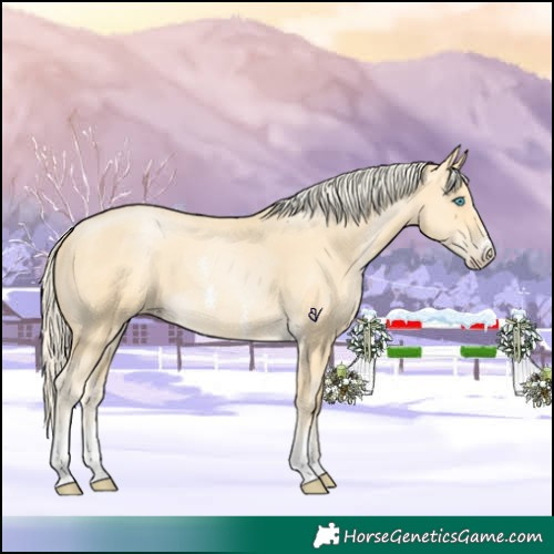 Horse Color:Palomino Pearl Sabino 