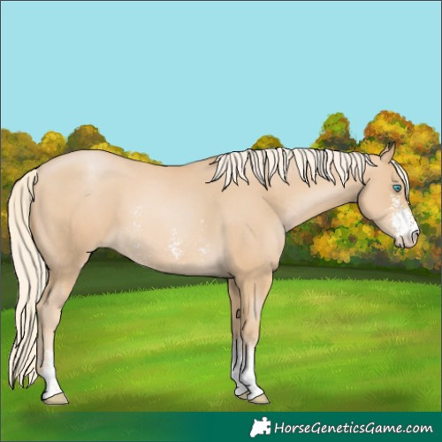 Horse Color:Palomino Pearl Sabino