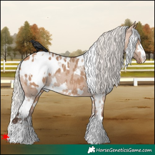 Horse Color:White Spotted Silver Brown Dun Blanket 