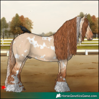 Horse Color:White Spotted Red Dun