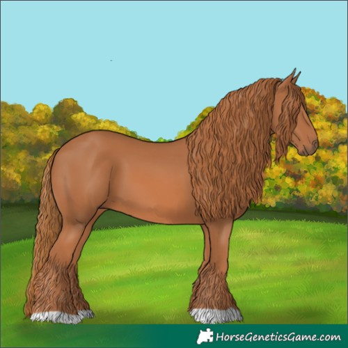 Horse Color:Chestnut 