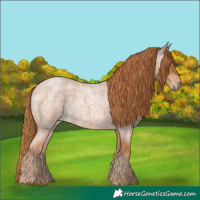 Horse Color:Red Roan 