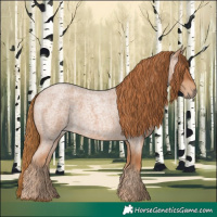 Horse Color:Red Roan
