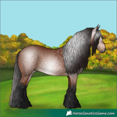 Horse Color:Gray Bay
