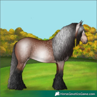 Horse Color:Gray Bay